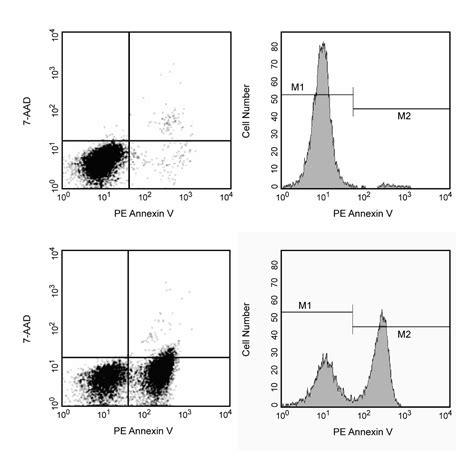 apoptosis detection elisa kit|annexin v flow cytometry.